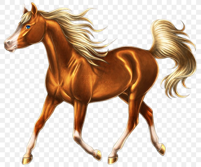 Arabian Horse Mustang Stallion Pony Colt, PNG, 800x680px, Arabian Horse, Art, Bridle, Colt, Deviantart Download Free