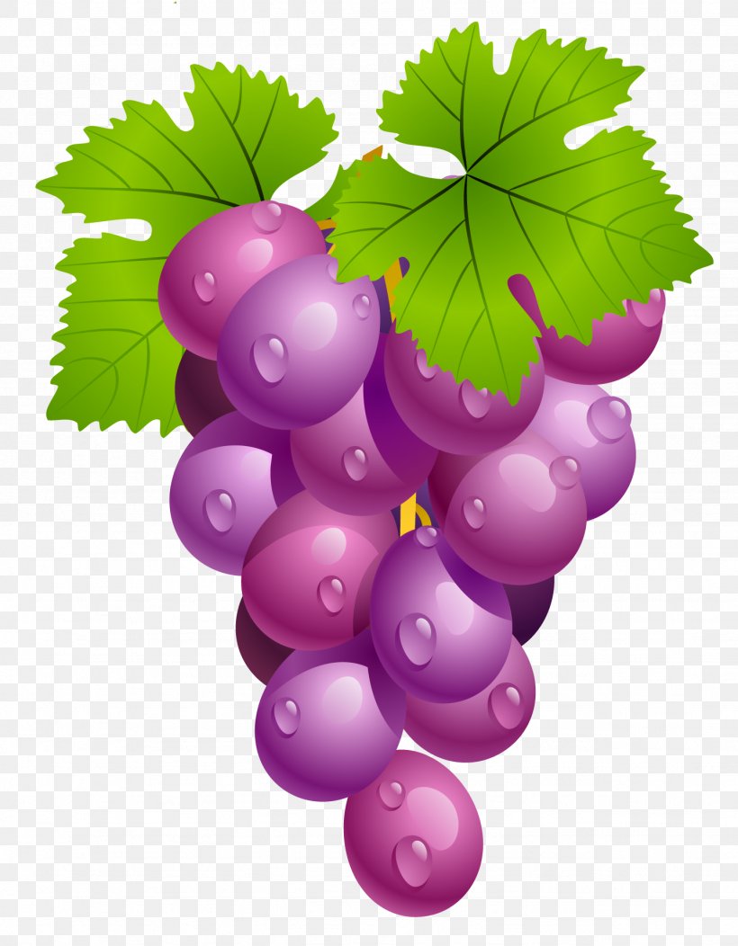 Common Grape Vine Wine Clip Art, PNG, 1436x1843px, Common Grape Vine, Flowering Plant, Food, Fruit, Grape Download Free
