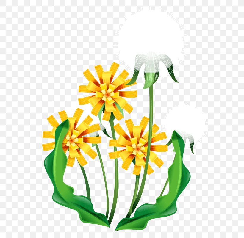 Cut Flowers Floral Design Floristry Petal, PNG, 800x800px, Flower, Cut Flowers, Floral Design, Floristry, Flowering Plant Download Free