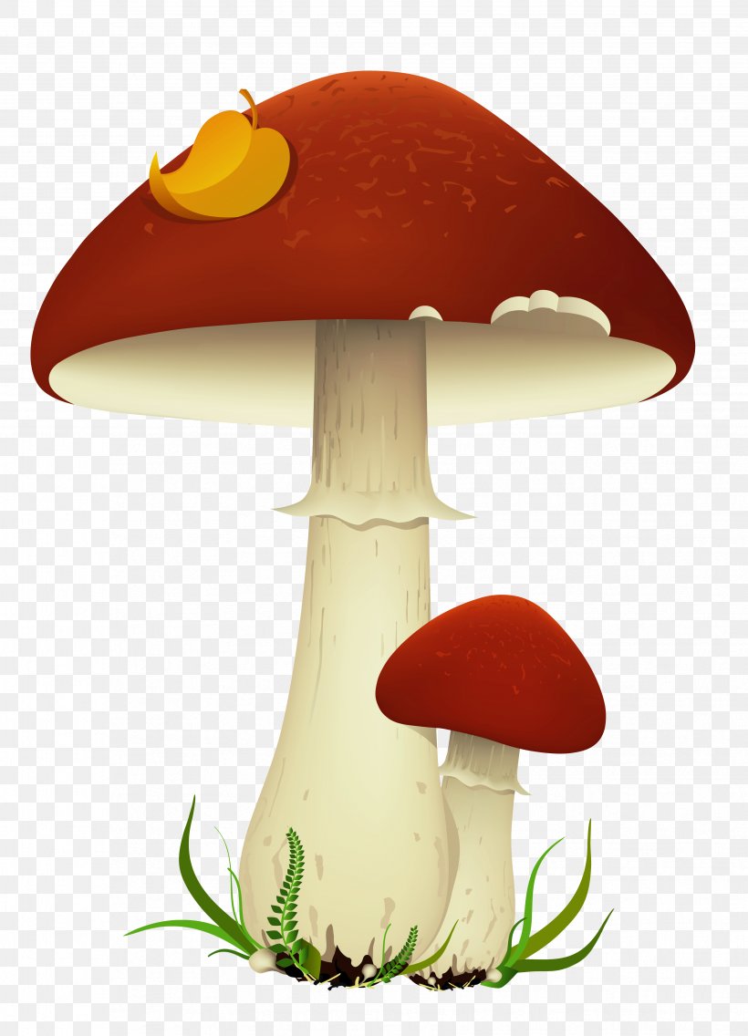 Mushroom Clip Art, PNG, 3462x4797px, Mushroom, Common Mushroom, Illustration, Image Resolution, Lamp Download Free