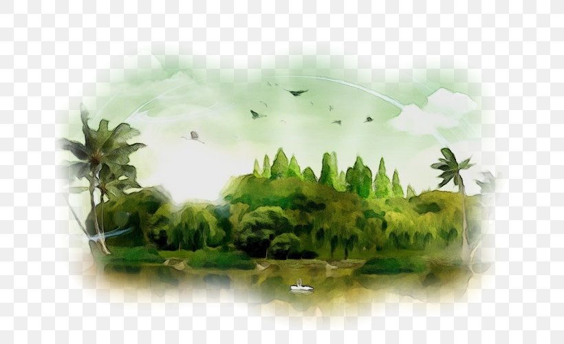 Nature Plant Grass Landscape, PNG, 667x500px, Watercolor, Grass, Landscape, Nature, Paint Download Free