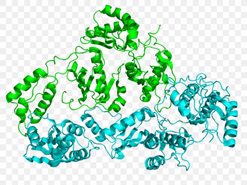 Reverse Transcriptase RNA DNA Polymerase Enzyme, PNG, 960x720px, Reverse Transcriptase, Area, Complementary Dna, David Baltimore, Dna Download Free