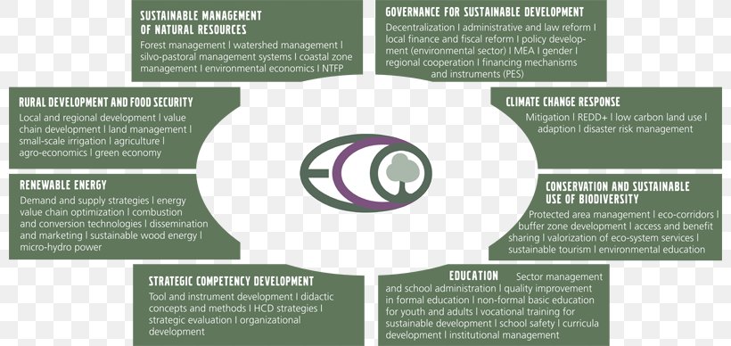 Sustainability Sustainable Development Environmental Resource Management Sustainable Management Natural Environment, PNG, 800x388px, Sustainability, Brand, Consulting Firm, Diagram, Economic Development Download Free