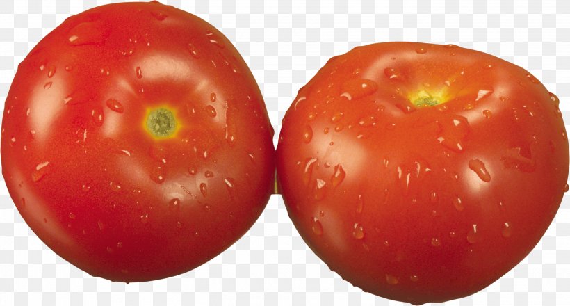 Cherry Tomato Vegetable Food Fruit, PNG, 2824x1517px, Shopska Salad, Apple, Bush Tomato, Cherry Tomato, Cucumber Download Free