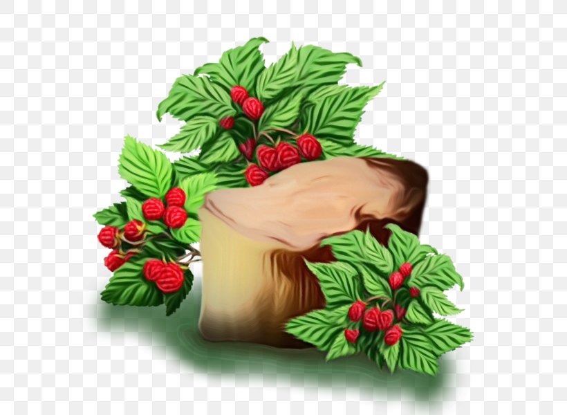 Holly, PNG, 600x600px, Watercolor, Berry, Branch, Flower, Fruit Download Free