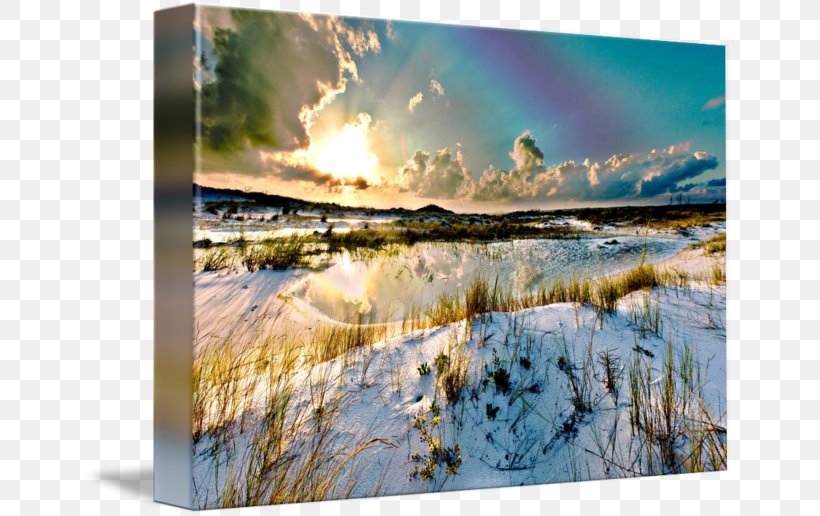 Imagekind Art Photography Canvas Print Giclée, PNG, 650x516px, Imagekind, Arctic, Art, Artist, Canvas Download Free