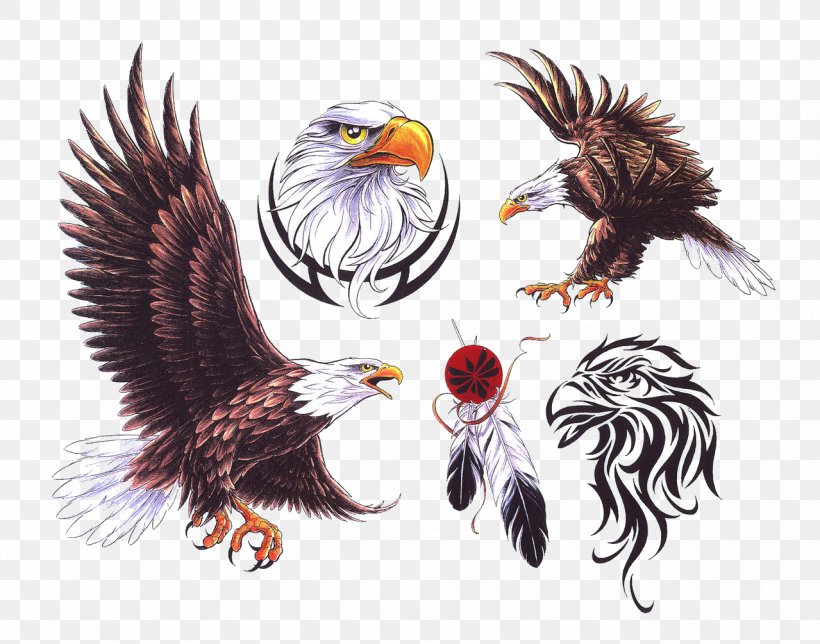 NZ Ink Tattoo Studio Eagle Bird, PNG, 1279x1005px, Tattoo, Art, Beak, Bird, Bird Of Prey Download Free