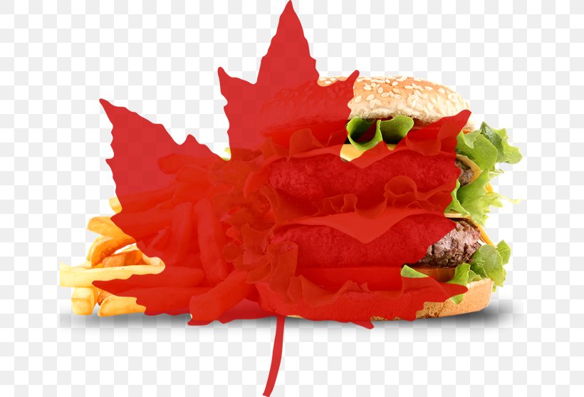 Flag Of Canada Maple Leaf Clip Art, PNG, 651x557px, Canada, Canada Day, Fast Food, Flag Of Canada, Flower Download Free