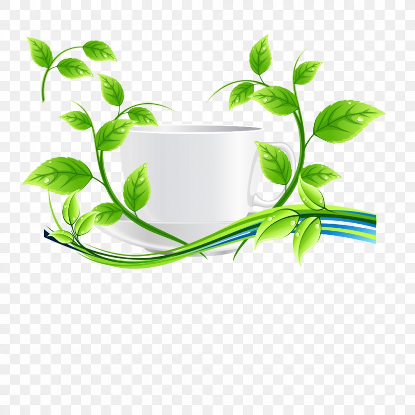 Green Tea Euclidean Vector Leaf, PNG, 1000x1000px, Tea, Alternative Medicine, Branch, Cdr, Cup Download Free