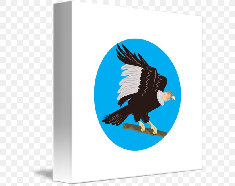 Bald Eagle Art, PNG, 606x650px, Bald Eagle, Andean Condor, Art, Beak, Bird Download Free