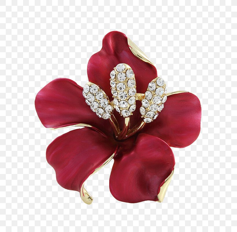 Brooch Fashion Accessory Barrette Headband Rhinestone, PNG, 800x800px, Brooch, Barrette, Clothing, Collar Pin, Cut Flowers Download Free