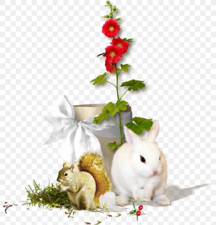 Domestic Rabbit PhotoScape, PNG, 800x852px, Domestic Rabbit, Animal, Autumn, Blog, Flower Download Free