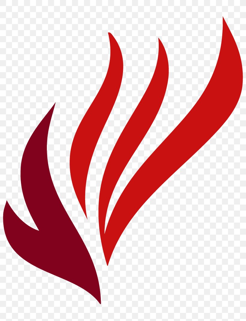Holy Spirit Bible Logo Holy Fire Baptism, PNG, 800x1067px, Holy Spirit, Baptism, Bible, Christian Symbolism, Doves As Symbols Download Free