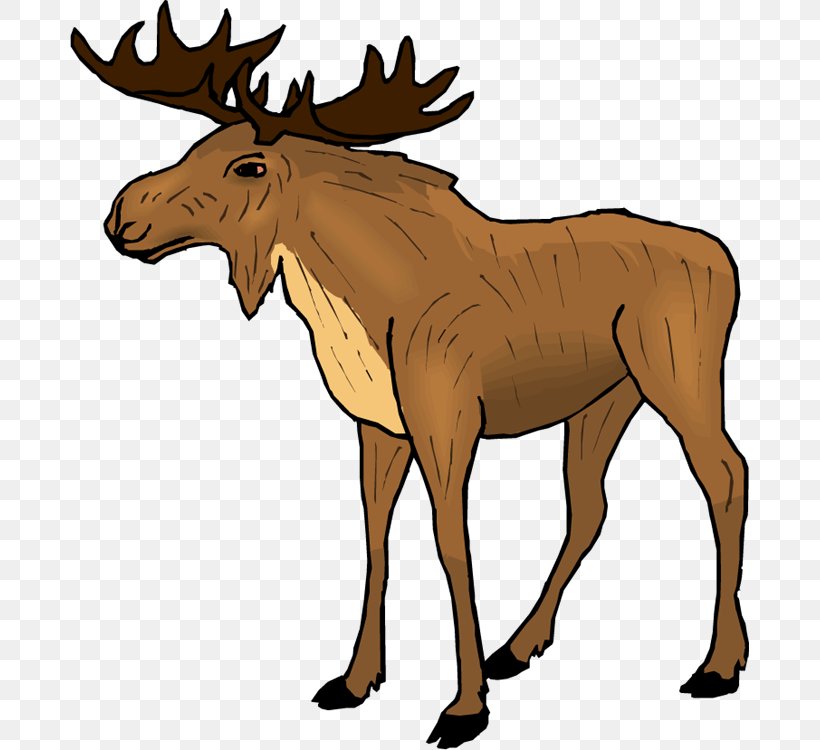 Moose Elk Free Content Reindeer Clip Art, PNG, 679x750px, Moose, Antler, Bridle, Cartoon, Deer Download Free