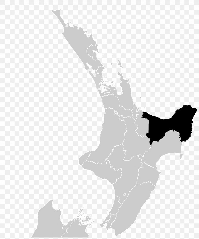 Vector Map Auckland Gisborne, PNG, 1920x2306px, Vector Map, Auckland, Black And White, Contour Line, Gisborne Download Free
