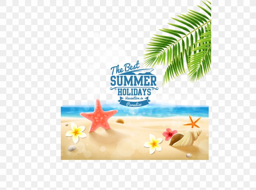 Beach Summer Vacation Summer Vacation, PNG, 3656x2712px, Beach, Advertising, Brand, Holiday, Royaltyfree Download Free