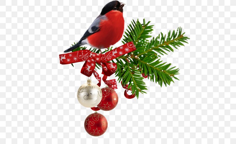 Christmas Clip Art, PNG, 500x500px, Christmas, Bird, Branch, Christmas Decoration, Christmas Ornament Download Free