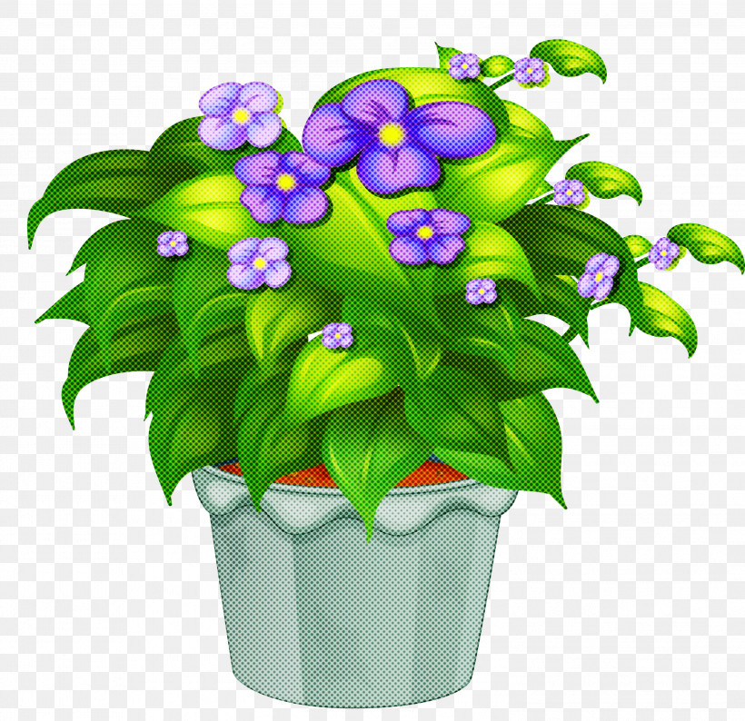 Flower Flowerpot Plant Violet Houseplant, PNG, 2999x2906px, Flower, Flowerpot, Houseplant, Petal, Plant Download Free