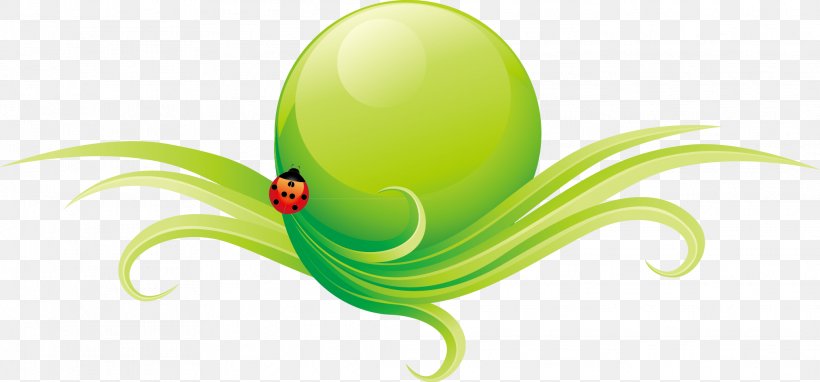 Green Euclidean Vector Vecteur, PNG, 2071x967px, Green, Border, Fruit, Gratis, Invertebrate Download Free