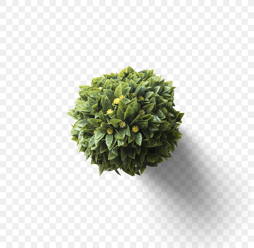 Bonsai Icon, PNG, 800x800px, 3d Computer Graphics, 3d Modeling, Tree, Arbor Day, Computer Graphics Download Free