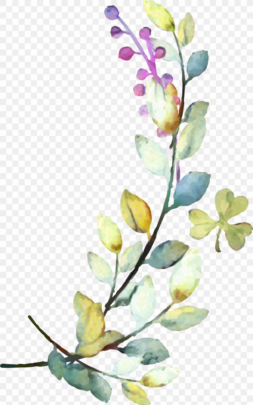 Flowers Background, PNG, 1707x2731px, Petal, Blossom, Branch, Bud, Cut Flowers Download Free