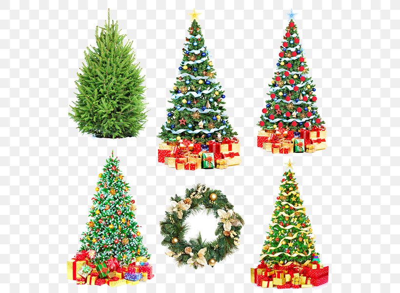 Poland Santa Claus Christmas Tree Christmas Wafer, PNG, 600x600px, Poland, Bombka, Child, Christmas, Christmas Carol Download Free