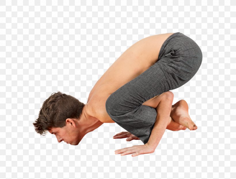 Bhujapidasana Ashtanga Vinyasa Yoga Dandasana, PNG, 1024x778px, Bhujapidasana, Arm, Asana, Ashtanga Vinyasa Yoga, Com Download Free