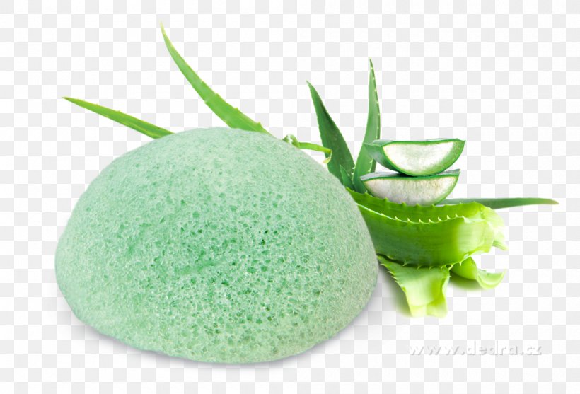 Cosmetics Aloe Vera Gel Epidermis Facial, PNG, 1000x680px, Cosmetics, Aloe Vera, Aloes, Capelli, Drugstore Download Free