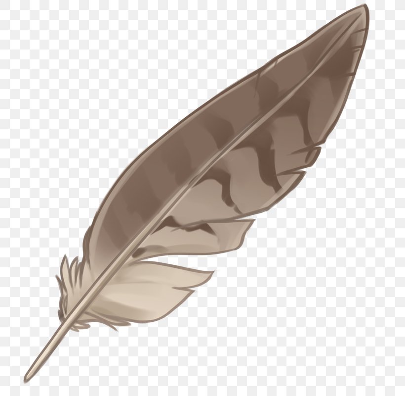 Eagle Feather Law Native Americans In The United States, PNG, 800x800px, Feather, Art, Bird, Eagle, Eagle Feather Law Download Free