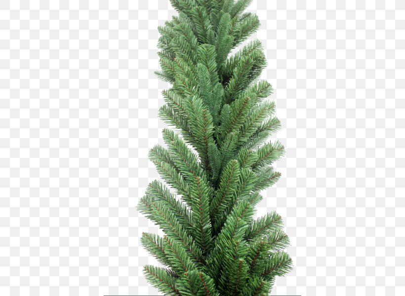 Spruce Christmas Tree Garland, PNG, 600x600px, Spruce, Biome, Christmas, Christmas Decoration, Christmas Tree Download Free