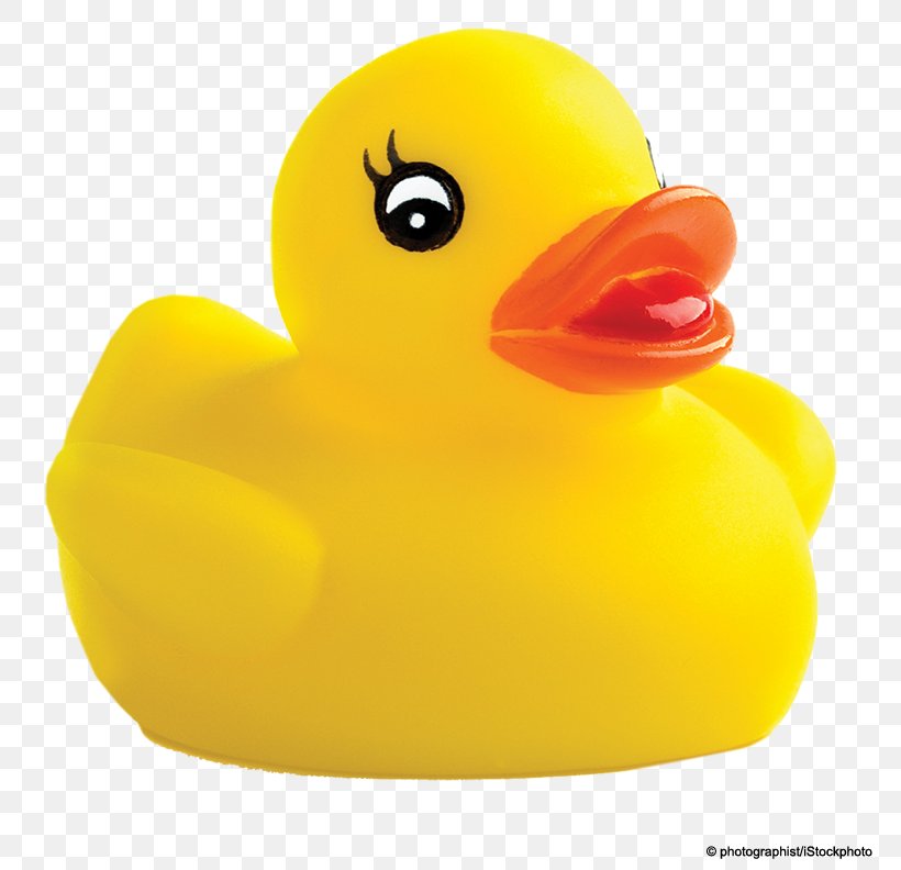 Duck Toy, PNG, 792x792px, Duck, Beak, Bird, Ducks Geese And Swans, Material Download Free