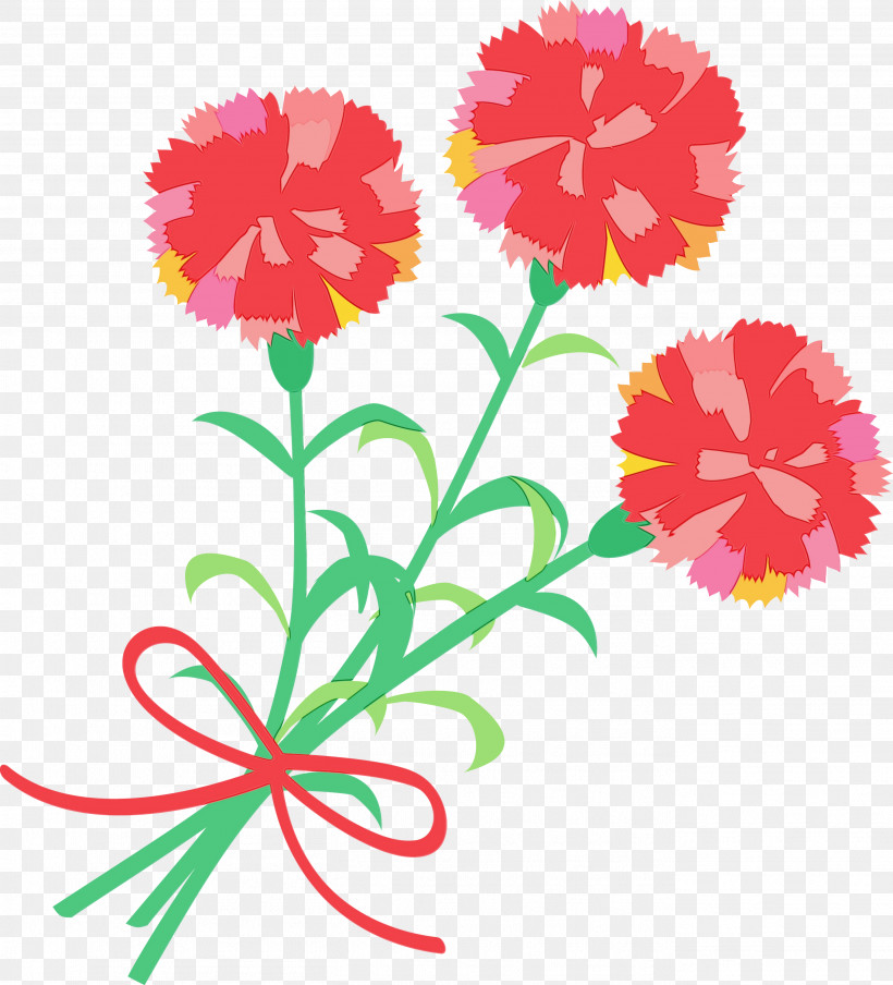 Flower Cut Flowers Plant Tagetes Carnation, PNG, 2721x3000px, Mothers Day Carnation, Carnation, Cut Flowers, Dianthus, Flower Download Free