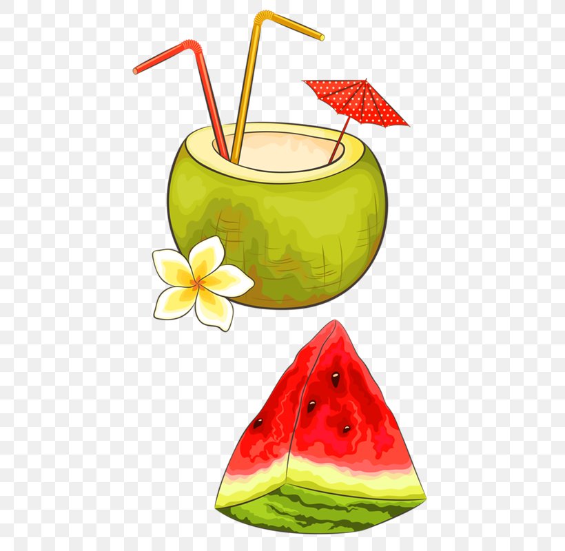 Watermelon Cocktail Garnish Beach Clip Art, PNG, 480x800px, Watermelon, Auringonvarjo, Beach, Cartoon, Citrullus Download Free