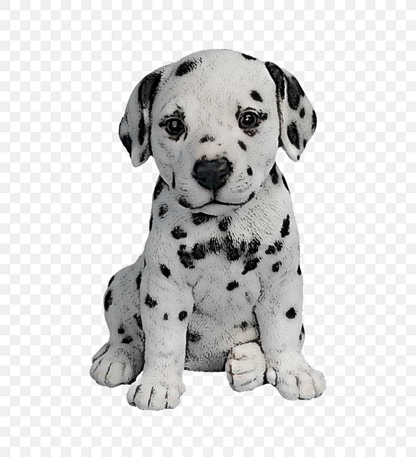 Dog Dalmatian Puppy Non-sporting Group Snout, PNG, 722x900px, Dog, Dalmatian, Nonsporting Group, Puppy, Snout Download Free