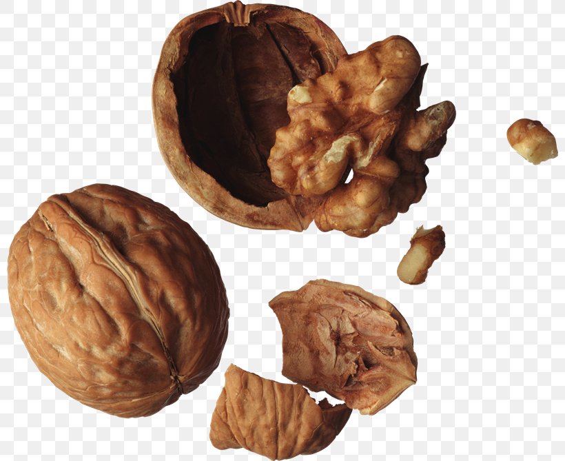 English Walnut Fruit Salad Drupe, PNG, 800x669px, Walnut, Commodity, Dried Fruit, Drupe, English Walnut Download Free