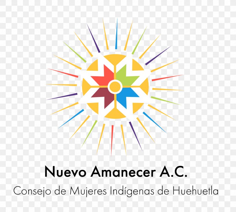 Logo Funding Non-Governmental Organisation San Bartolo Tutotepec Huehuetla, Hidalgo, PNG, 1543x1388px, 2018, Logo, Area, Brand, Diagram Download Free