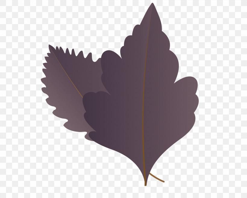 Maple Leaf, PNG, 3000x2407px, Autumn Leaf, Biology, Cartoon Leaf, Fall Leaf, Leaf Download Free