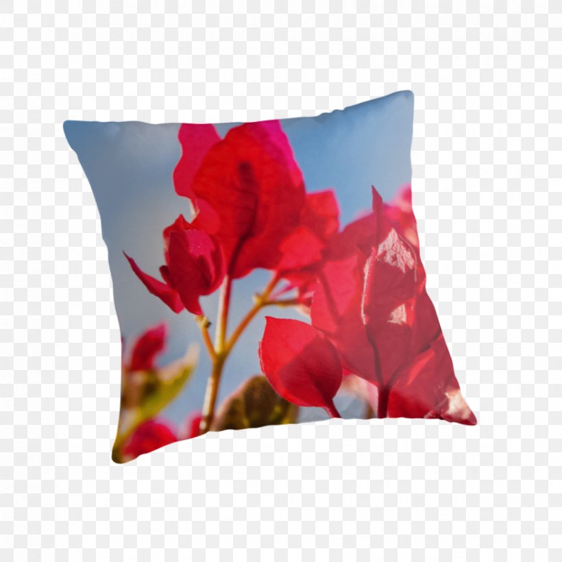 Throw Pillows Cushion Flower Petal, PNG, 875x875px, Throw Pillows, Cushion, Flower, Flowering Plant, Petal Download Free