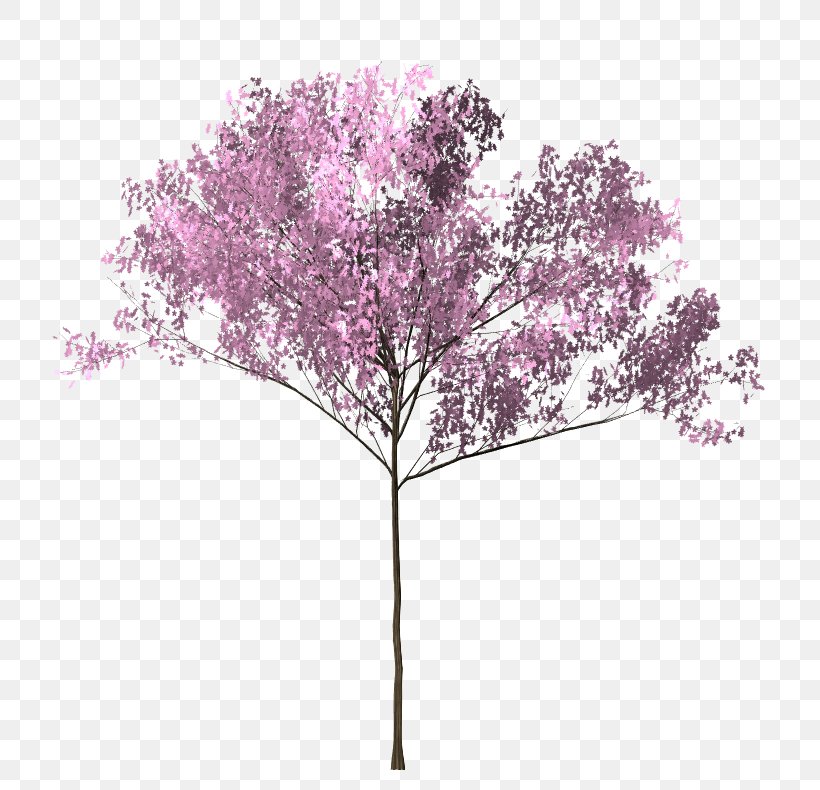 Cherry Blossom Tree Twig, PNG, 771x790px, Cherry Blossom, Blossom, Branch, Editing, Flower Download Free