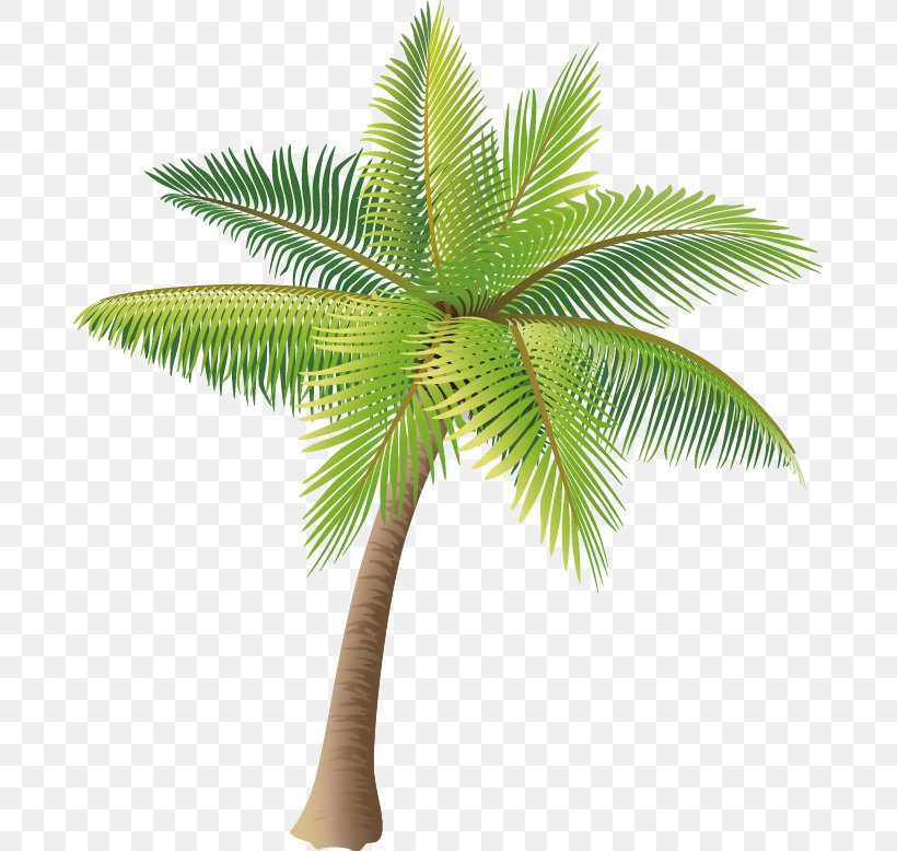 Coconut Icon, PNG, 685x778px, Coconut, Arecales, Date Palm, Flat Design, Flowerpot Download Free