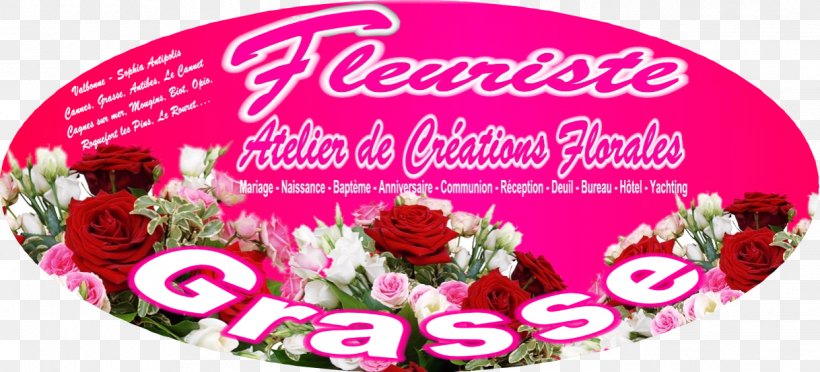 Garden Roses Fleuriste, PNG, 1218x554px, Garden Roses, Antibes, Ciprofloxacin, Cut Flowers, Floral Design Download Free
