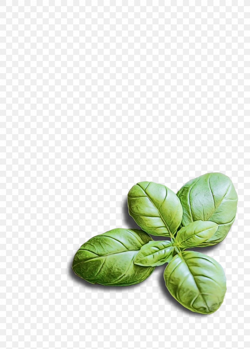 Green Leaf Background, PNG, 1680x2347px, Basil, Flower, Food, Green, Herb Download Free