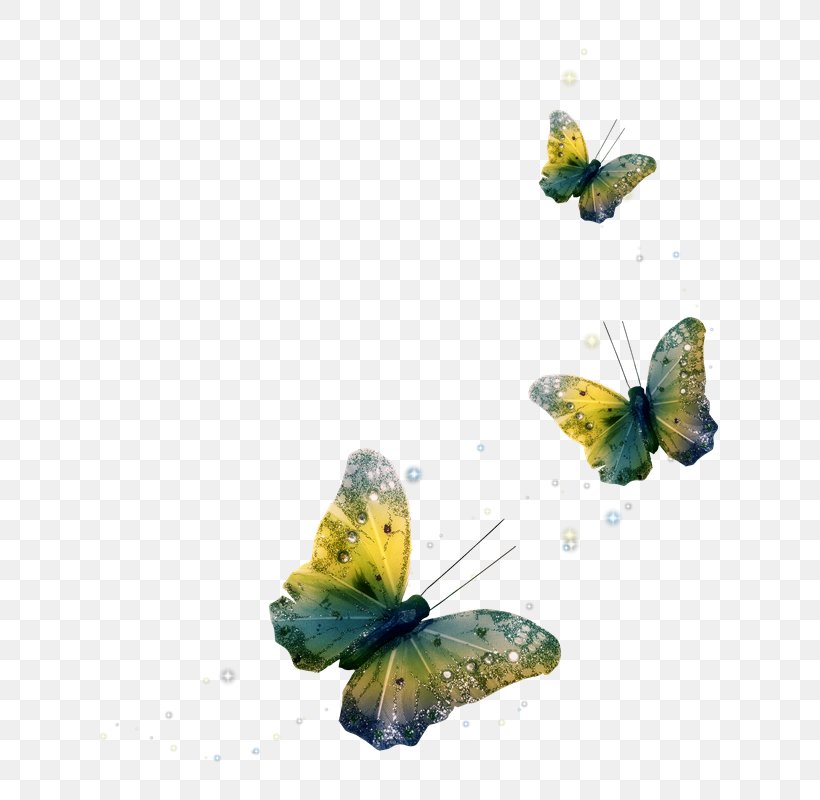 Butterfly Clip Art Psd Adobe Photoshop, PNG, 673x800px, Butterfly, Arthropod, Brush Footed Butterfly, Butterflies And Moths, Diagram Download Free