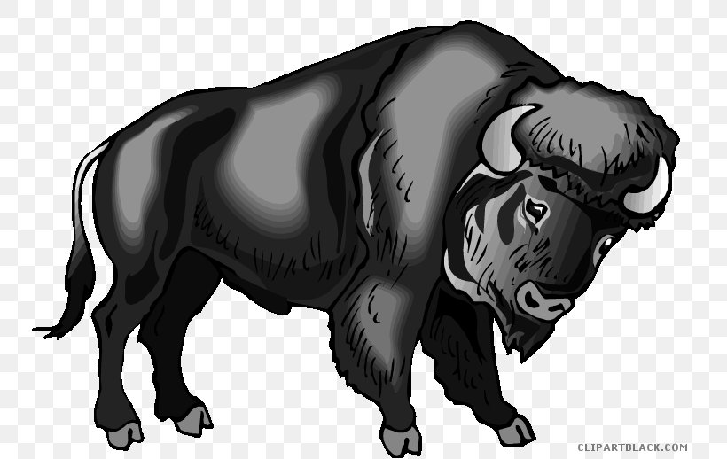 Water Buffalo Clip Art Image, PNG, 750x518px, Water Buffalo, Big Cats, Black, Black And White, Bubalus Download Free