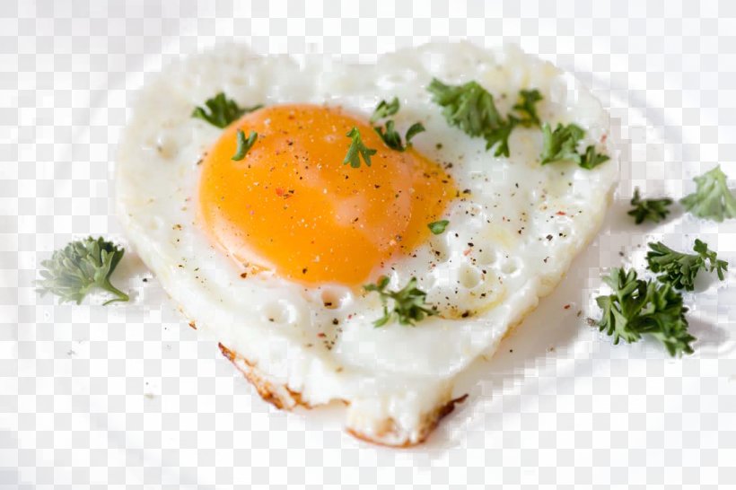 Fried Egg Breakfast Zwieback Recipe, PNG, 1100x733px, Fried Egg, Breakfast, Chicken Egg, Cholesterol, Cuisine Download Free