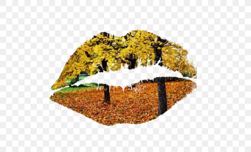 Lip Mouth, PNG, 606x498px, Lip, Autumn, Deciduous, Designer, Google Images Download Free