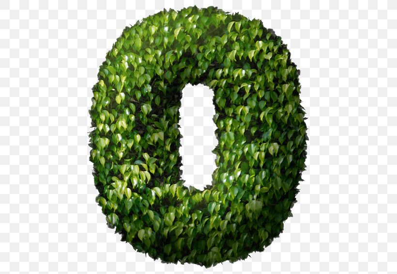 Wreath, PNG, 479x565px, Wreath, Grass, Green, Tree Download Free