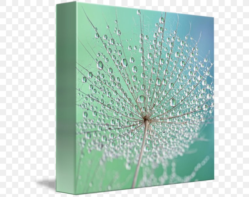 Gallery Wrap Leaf Canvas Art Printmaking, PNG, 606x650px, Gallery Wrap, Art, Canvas, Dandelion, Green Download Free