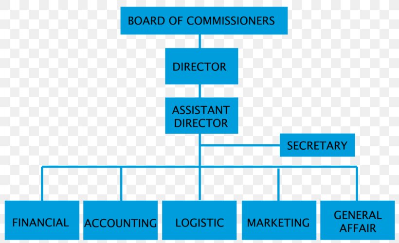 Organizational Chart Management Organizational Structure Business, PNG, 1024x625px, Organizational Chart, Area, Blue, Brand, Business Download Free