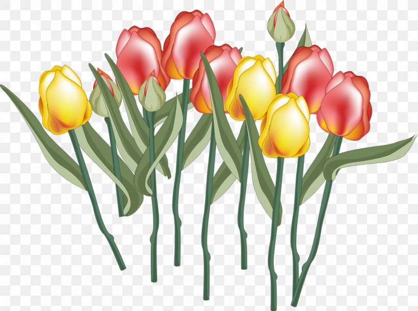 Cut Flowers Tulip Flower Bouquet Floral Design, PNG, 1280x953px, Flower, Animation, Birthday, Cut Flowers, Floral Design Download Free